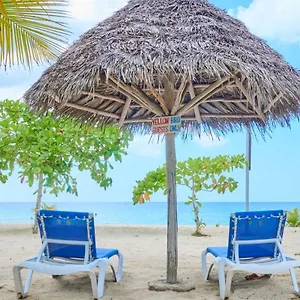 https://yellow-bird-sea.hotelsnegriljamaica.com